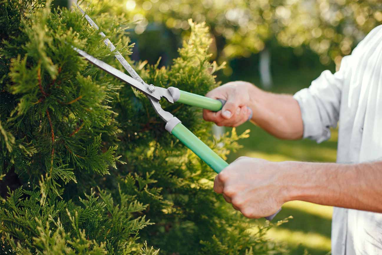 Mantenimiento de tus herramientas de jardinería